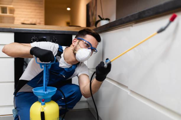 Best Best Pest Control Companies  in Mount Union, PA