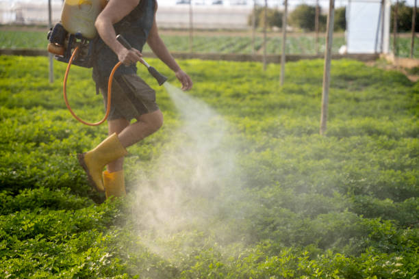 Best Wasp Removal Services  in Mount Union, PA