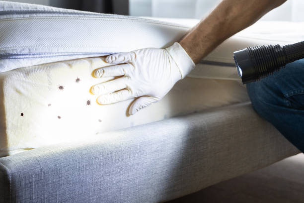Best Local Pest Control Services  in Mount Union, PA