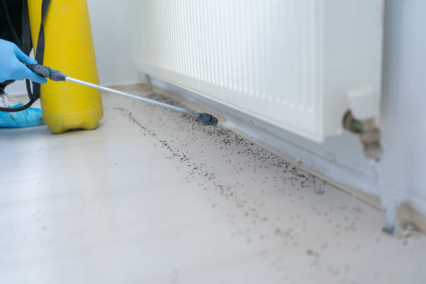 Pest Control Cost in Mount Union, PA